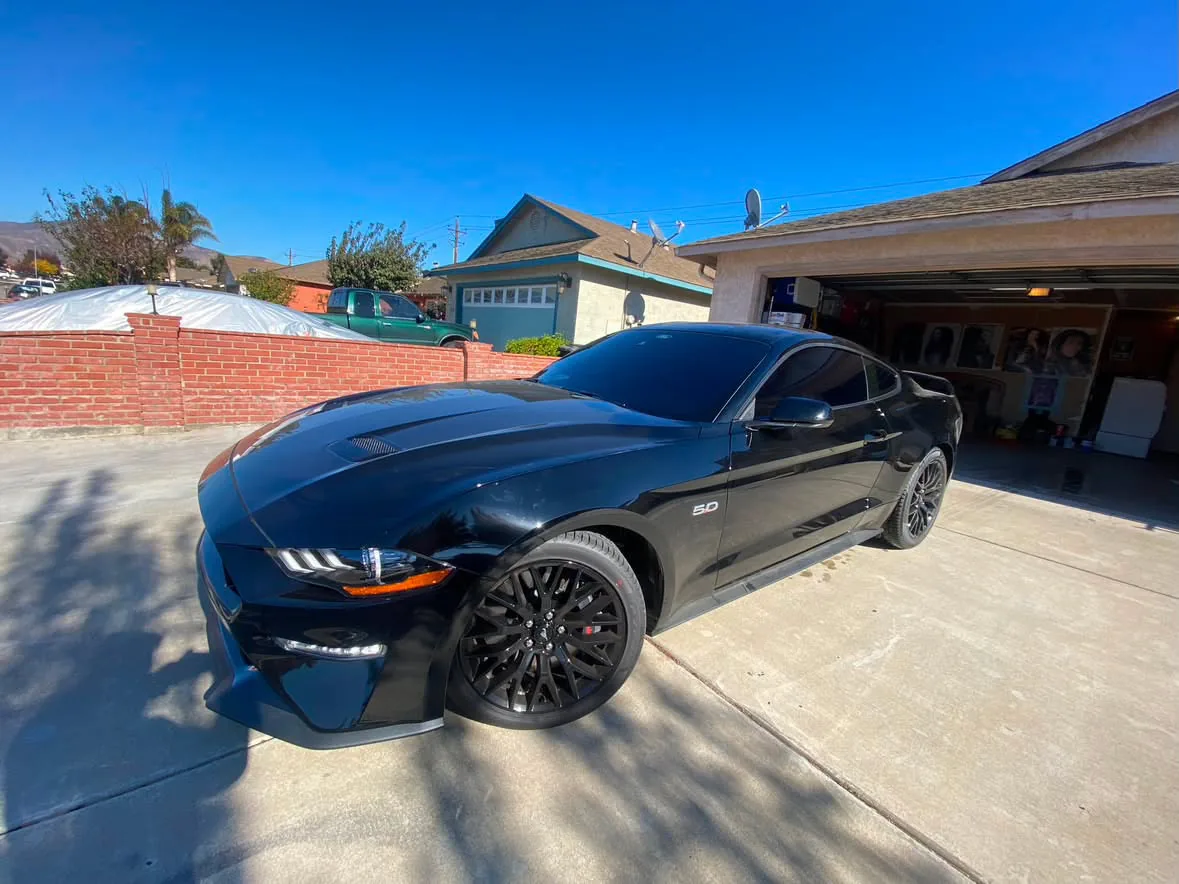 A black Ford Mustang with a 5.0 wing badge, film on the front door and quarter glass